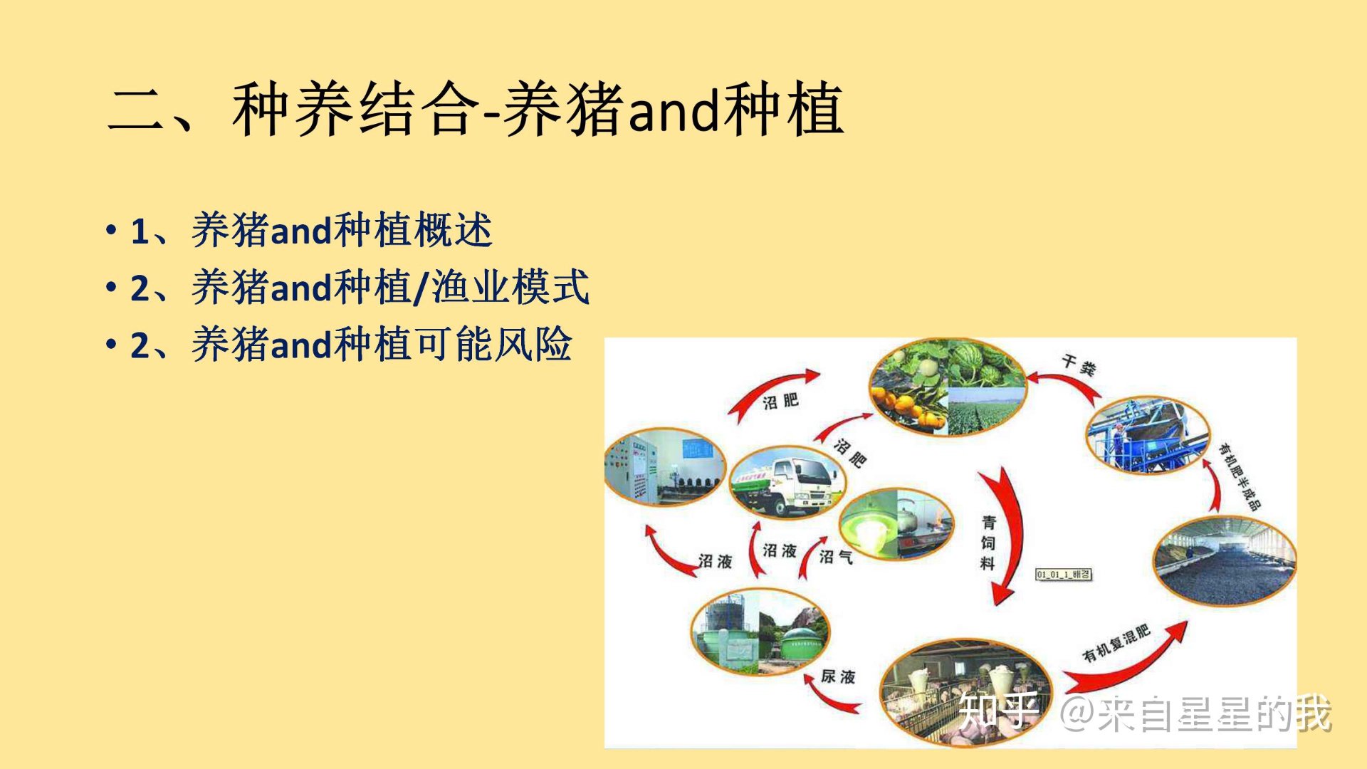 绿林盟种植